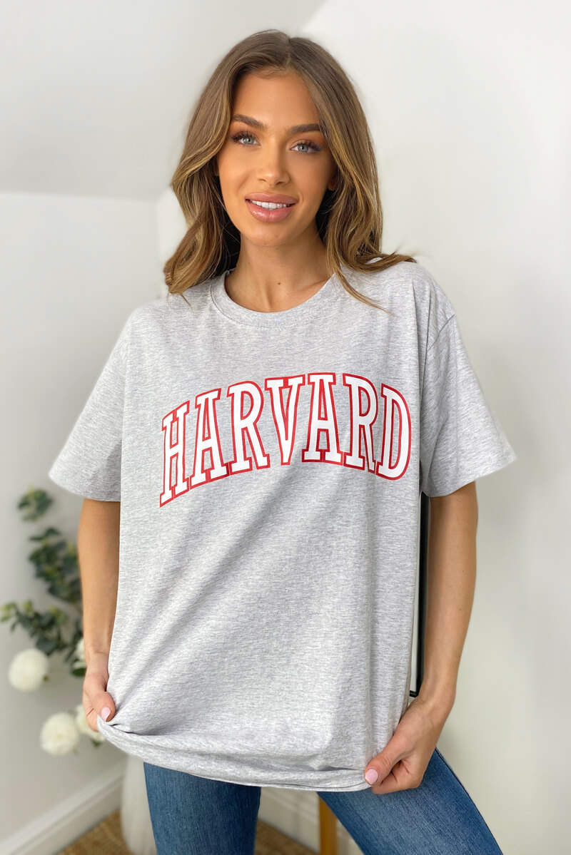 Grey Harvard Oversized Tee - Swimclubus